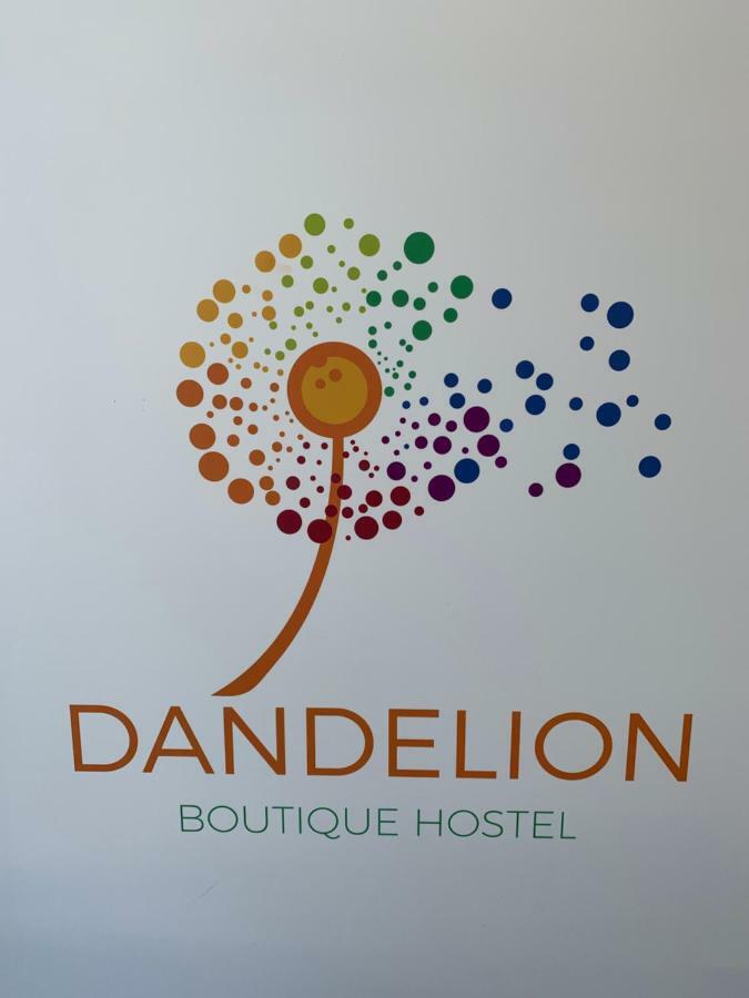 Albergue Dandelion Zadar Exterior foto